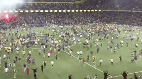 Bien nguoi tran xuong san an mung BSC Young Boys vo dich hinh anh