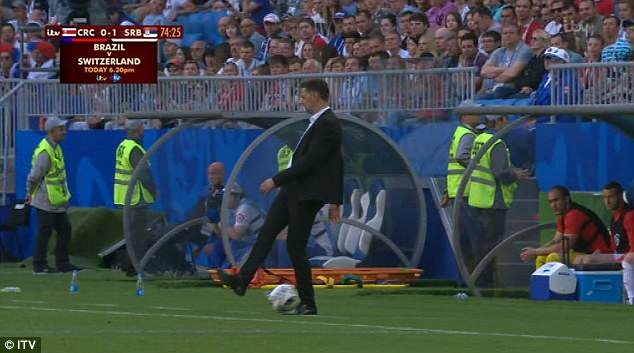 Zlatan xuất hiện ở World Cup ảnh 4 Zlatan xuat hien o World Cup anh 4