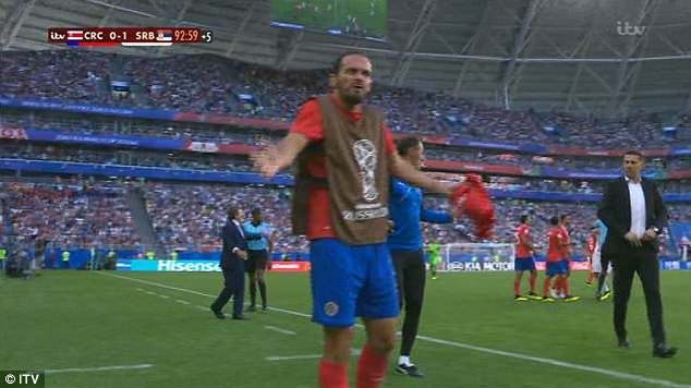 Zlatan xuất hiện ở World Cup ảnh 8 Zlatan xuat hien o World Cup anh 8