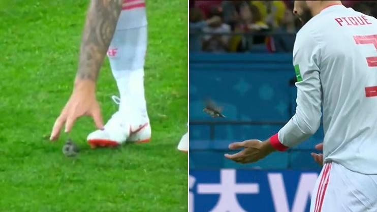 Isco duoc tan duong vi cuu chu chim nho o tran Tay Ban Nha thang Iran hinh anh