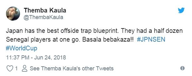 pha bay viet vi nua doi hinh doi thu cua Nhat Ban anh 6