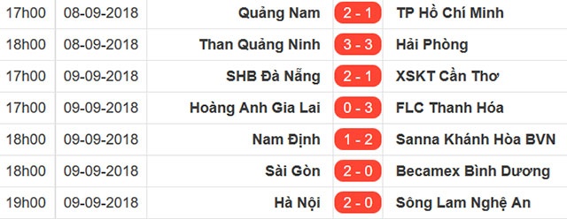 HAGL vs CLB Thanh Hoa anh 2