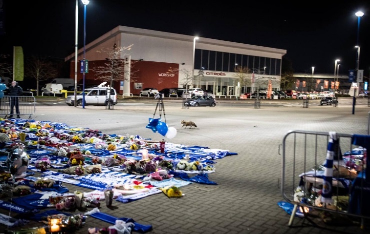 Cao vieng tham SVD King Power anh 1