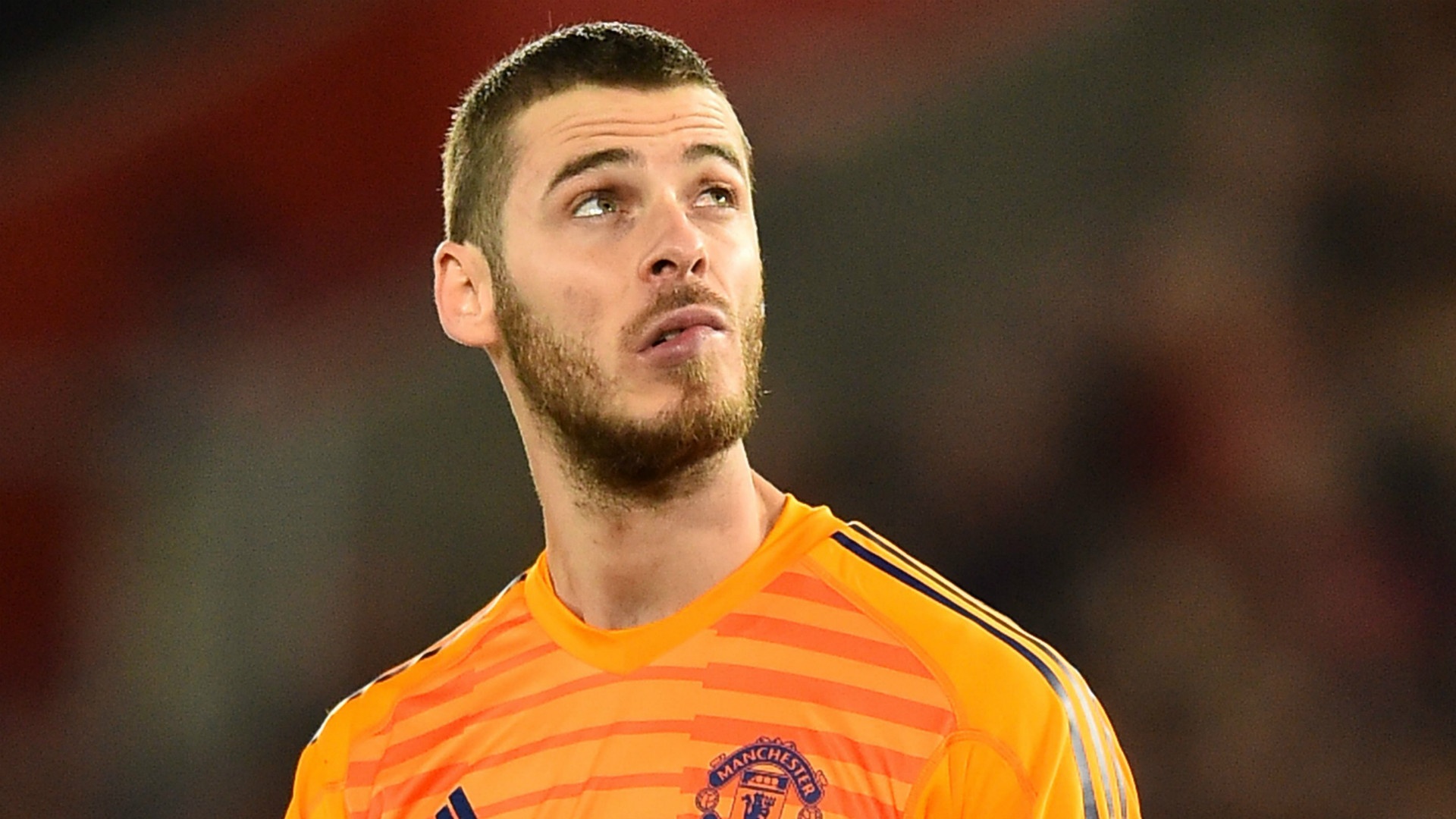 doi hinh sao mien phi he 2019 anh 1