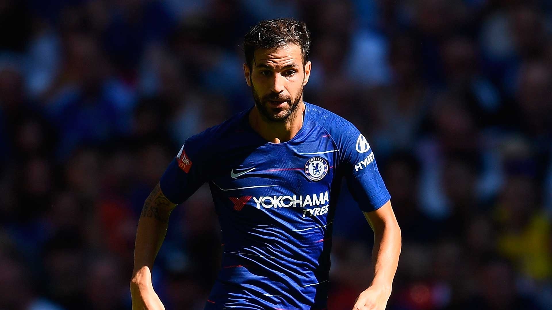 doi hinh sao mien phi he 2019 anh 8