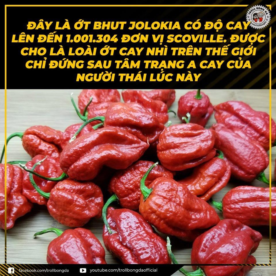 anh che tha Park lam lau sieu cay khong lo anh 9