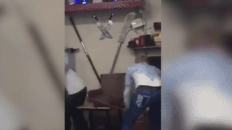 Tong dan chu Vinh Xuan Nam Anh dam tui bui vo su Vinh Xuan hinh anh