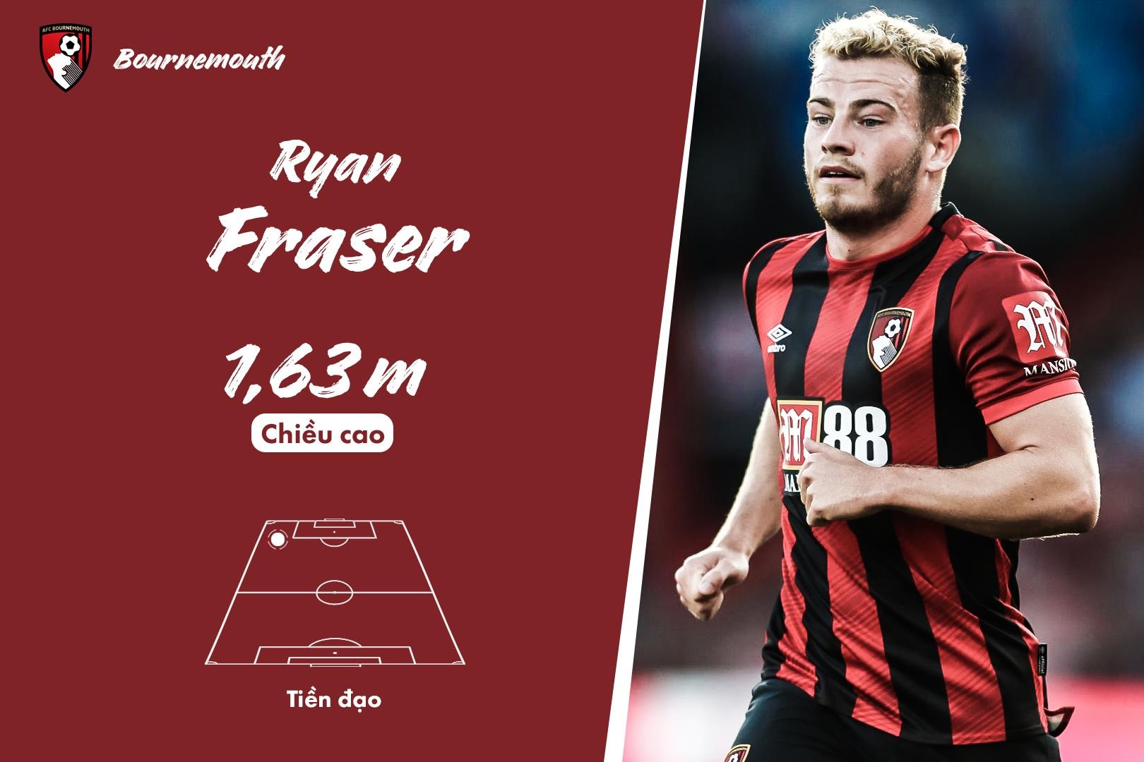 đội hình thấp nhất premier league ảnh 11 doi hinh thap nhat premier league anh 11