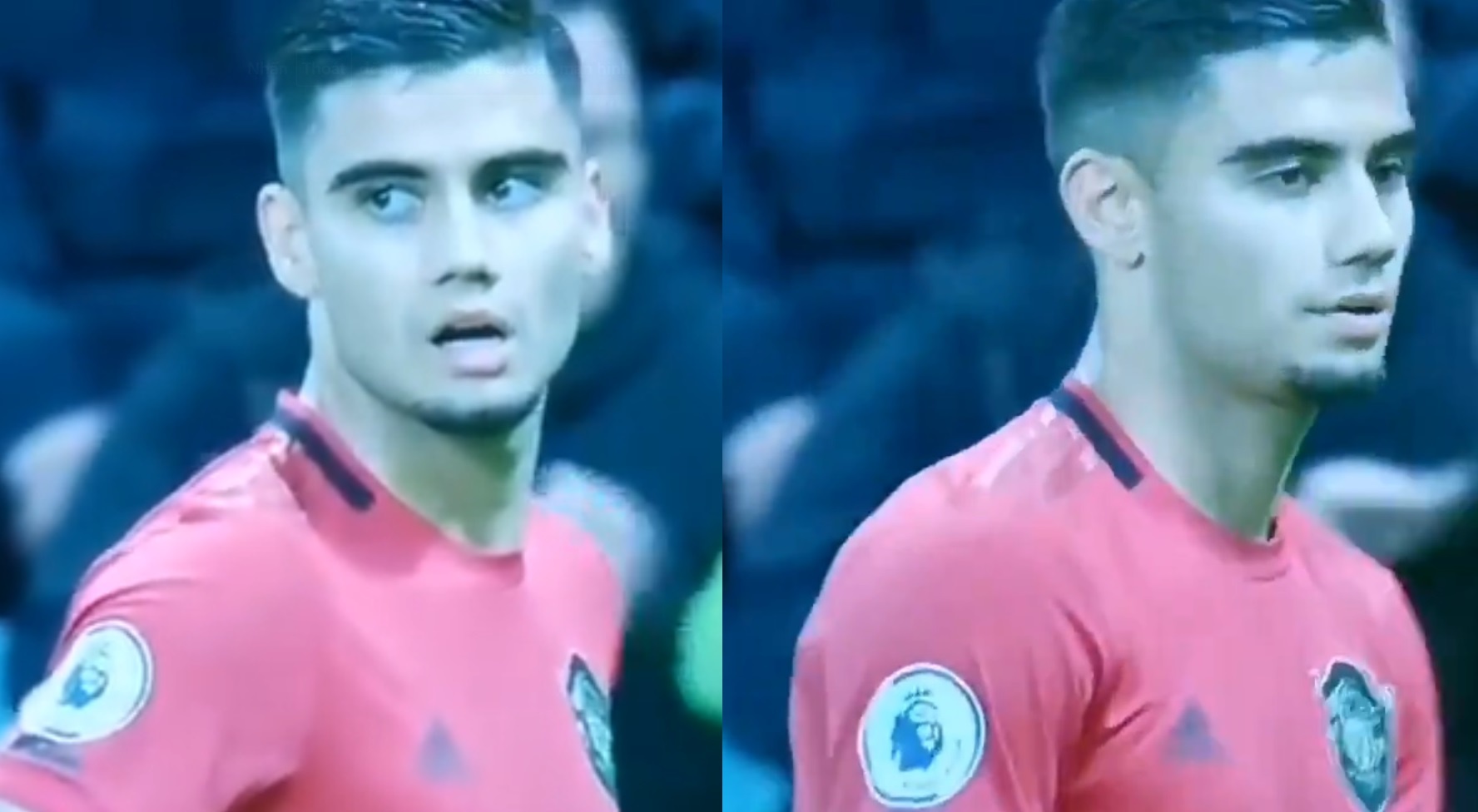 MU thua Newcastle ảnh 1 MU thua Newcastle anh 1