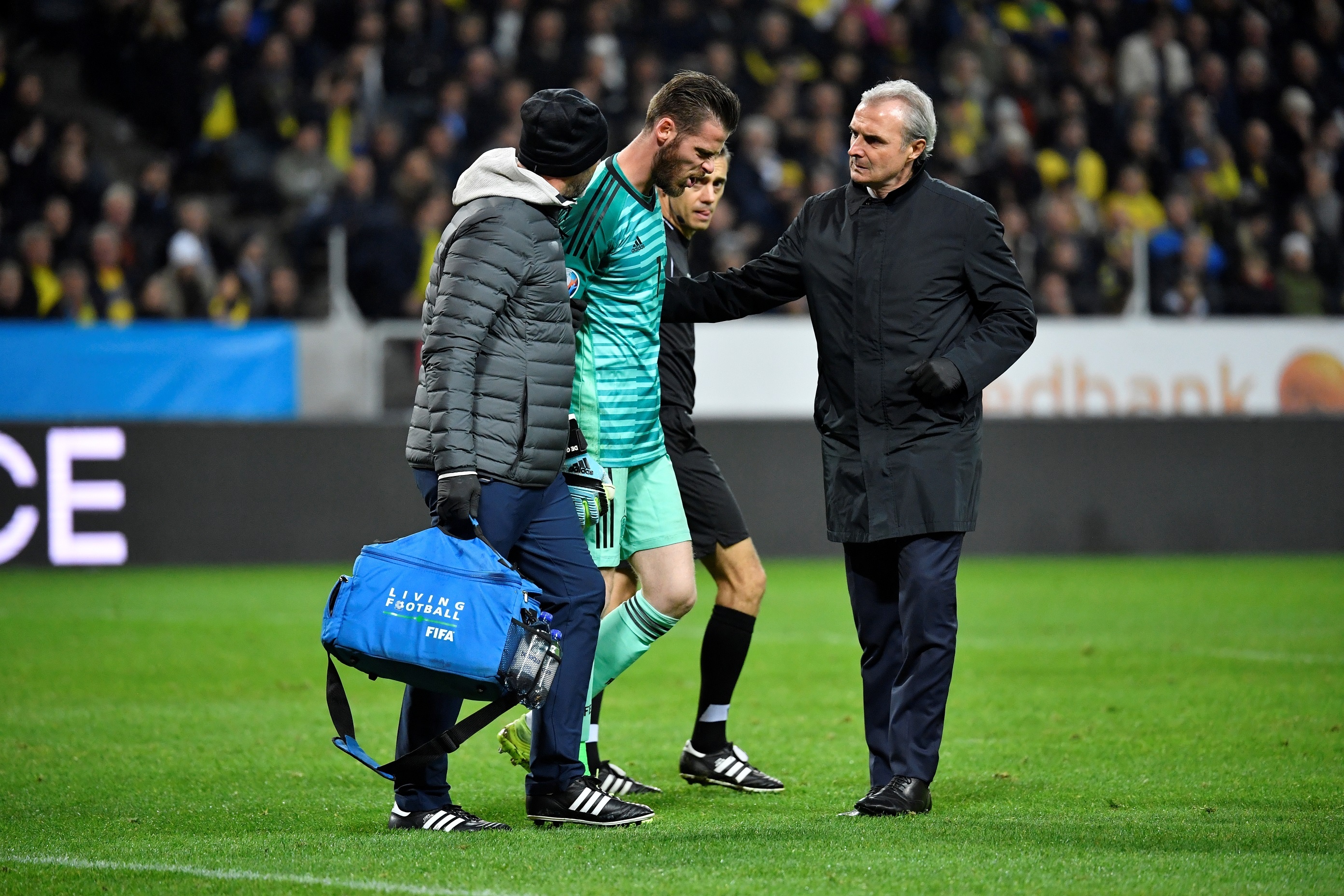 De Gea chan thuong anh 8