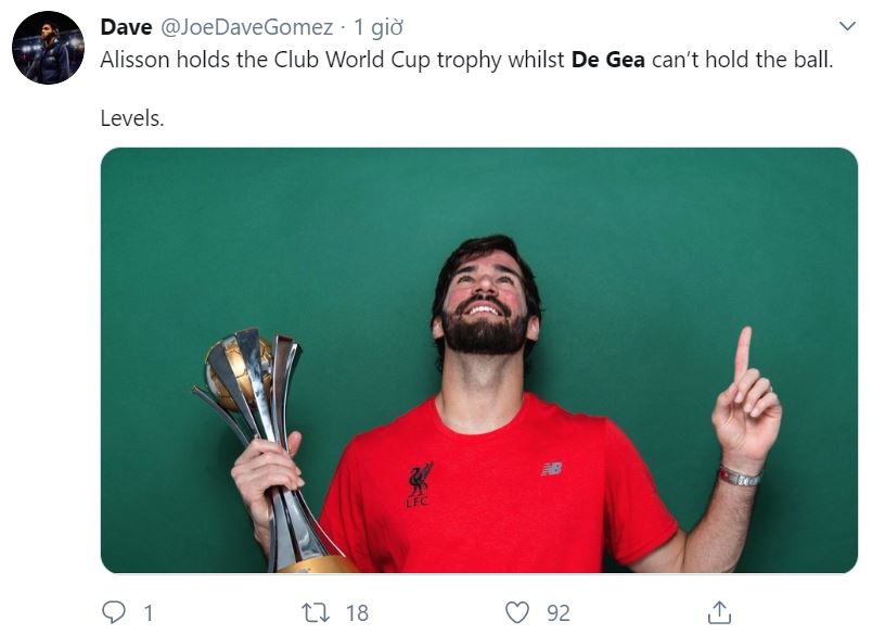 De Gea sai lam anh 5