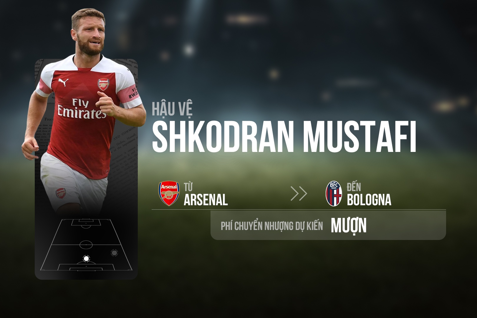 chuyen nhuong anh 10