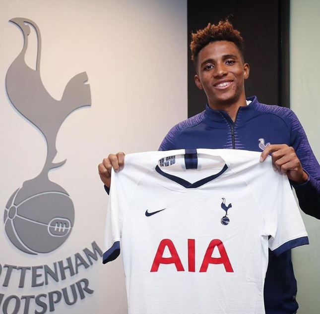 Tottenham don tan binh anh 1