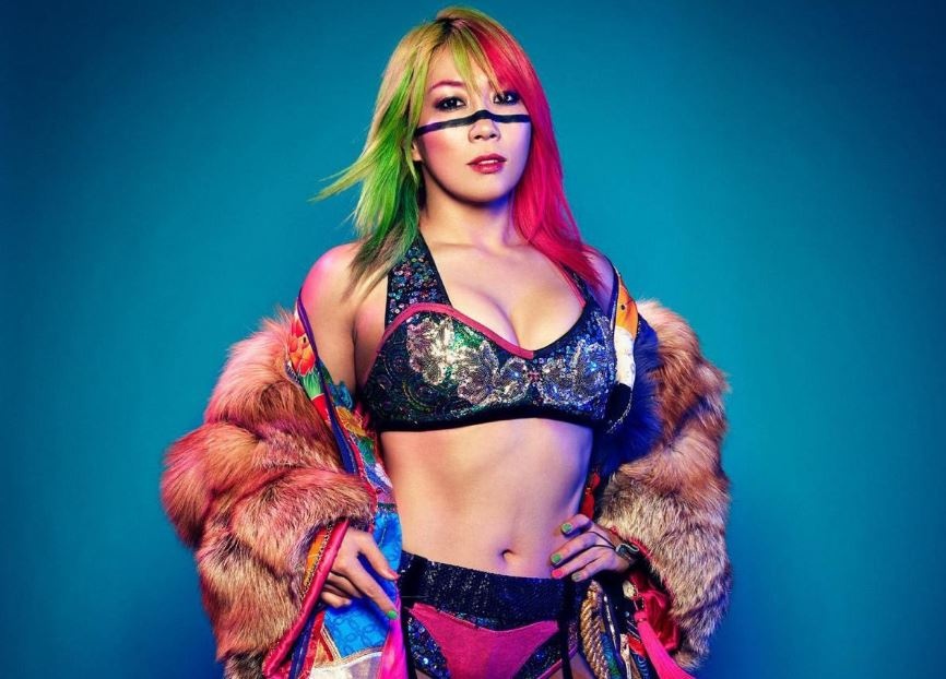 nu do vat goi cam WWE anh 3