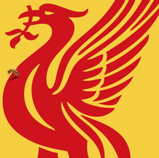 anh che Liverpool thua Watford anh 1