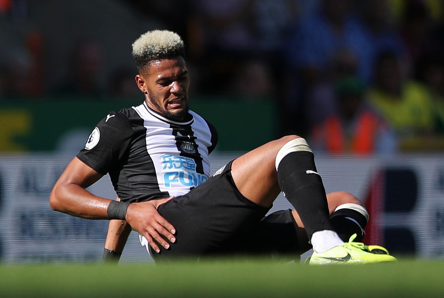 doi hinh bi CDV nha quay lung anh 13