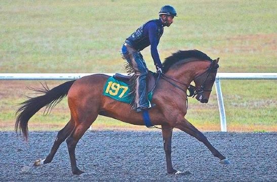 ngua dua dat nhat lich su anh 7