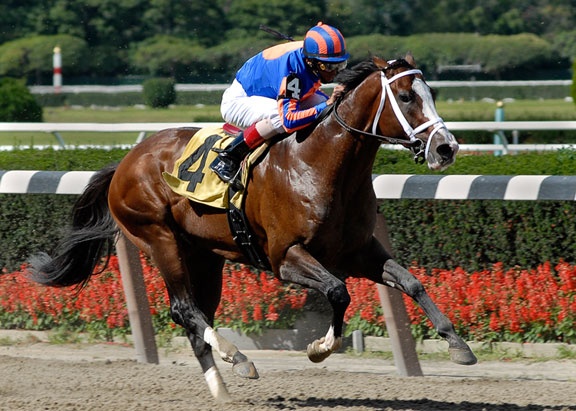 ngua dua dat nhat lich su anh 5