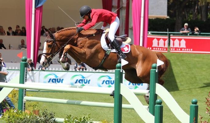 ngua dua dat nhat lich su anh 6