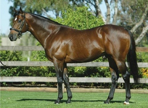 ngua dua dat nhat lich su anh 3