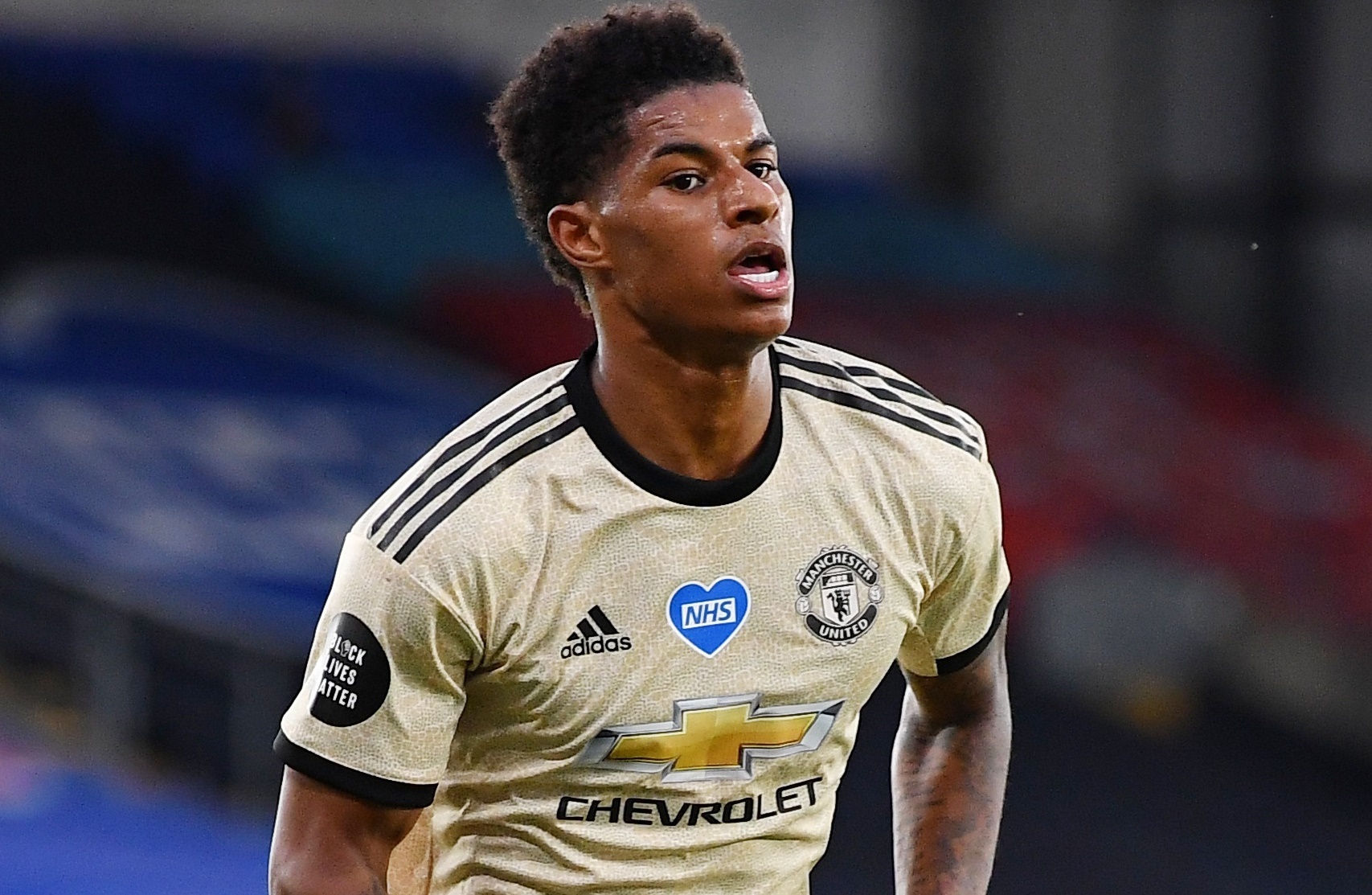 Crystal Palace 0-2 Man Utd: Rashford, Martial toa sang hinh anh