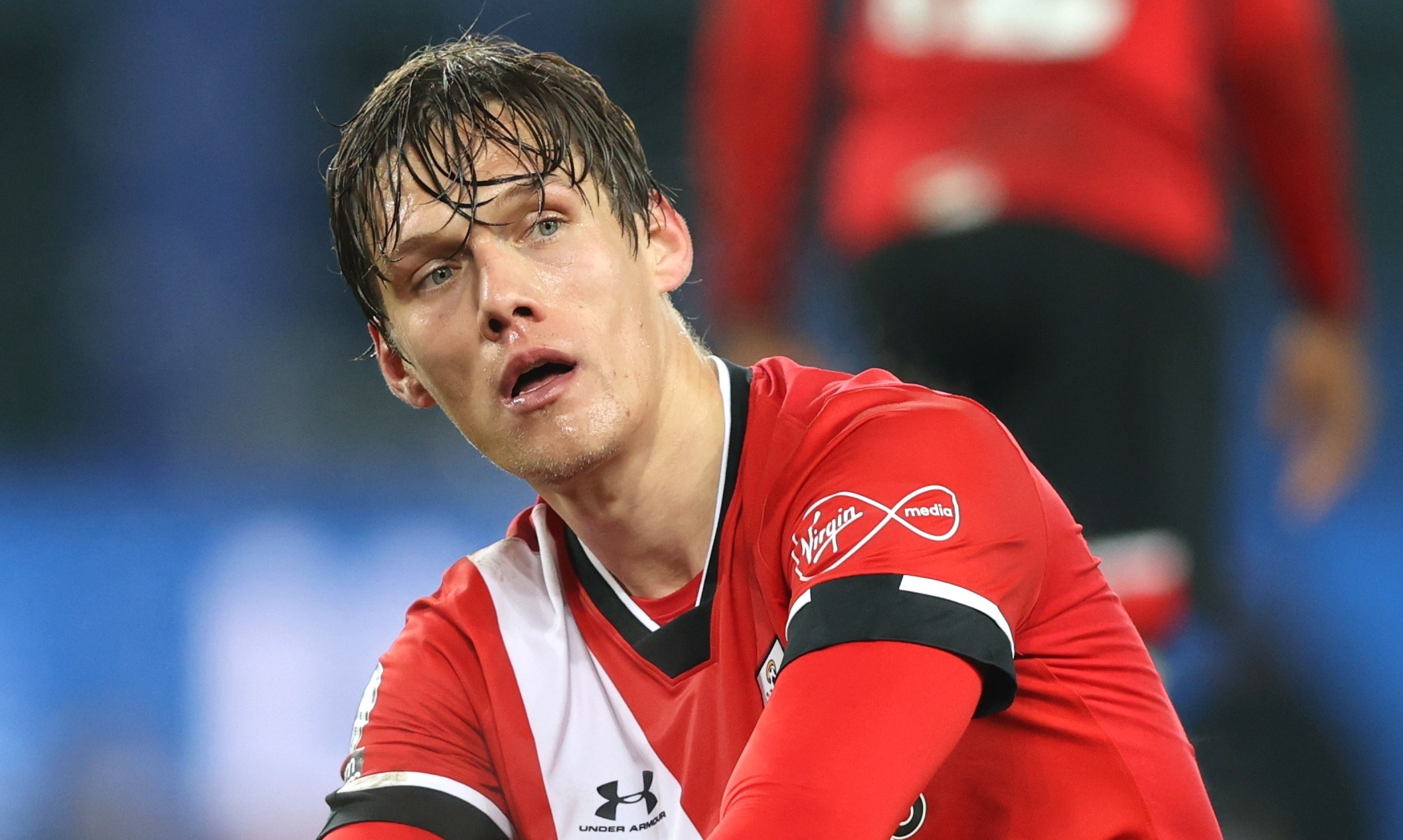 Southampton chim trong khung hoang hinh anh