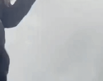 Tien dao Premier League hanh hung CDV hinh anh