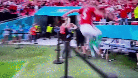 Cau thu Hungary pha ban cua phong vien sau khi an mung hinh anh