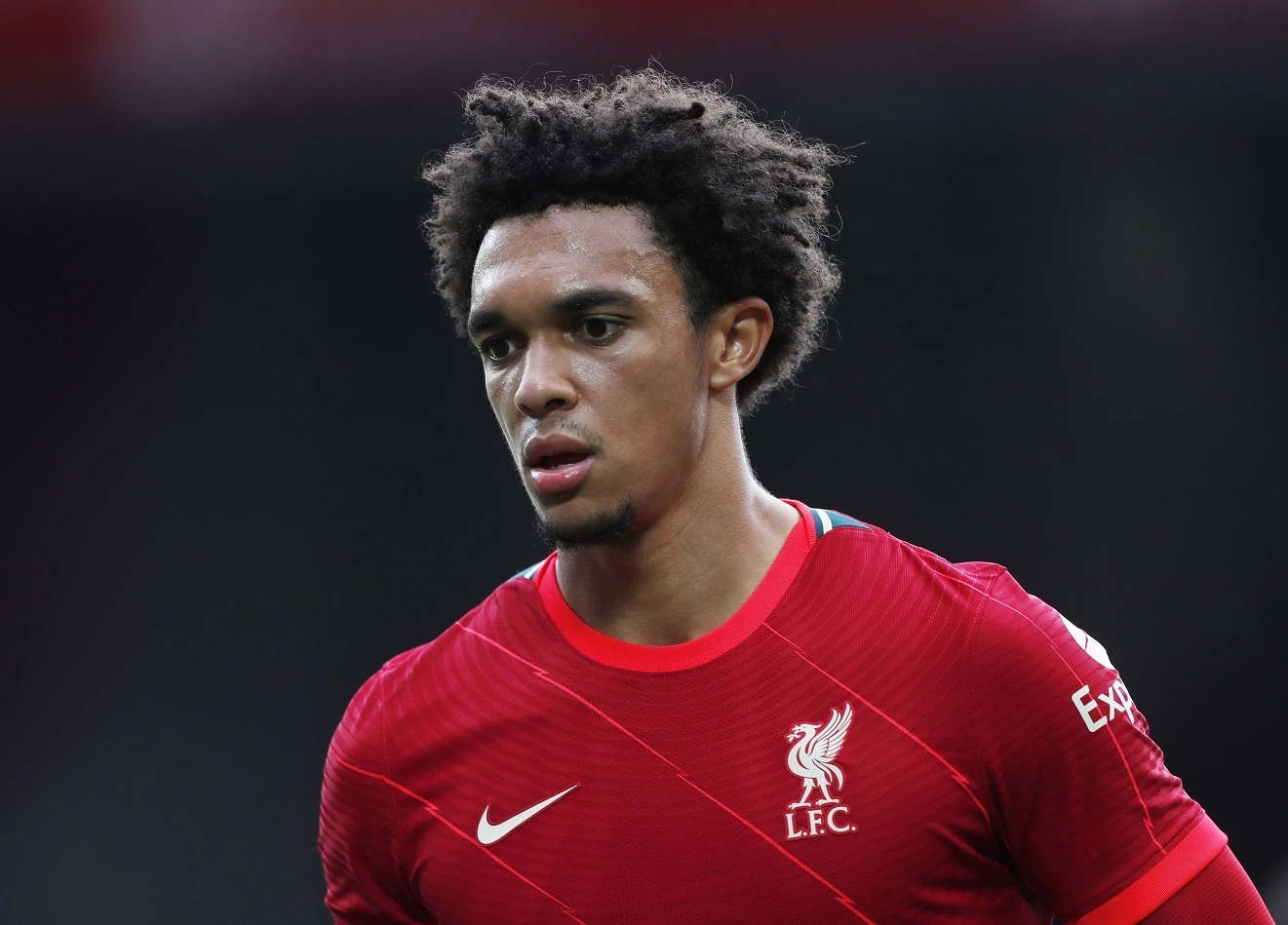 Premier League anh 11