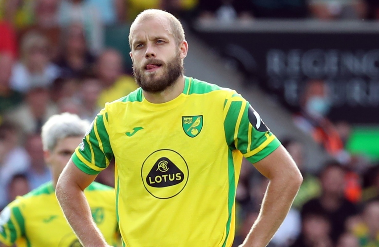 Norwich lam vao khung hoang sau khi thang hang Premier League hinh anh