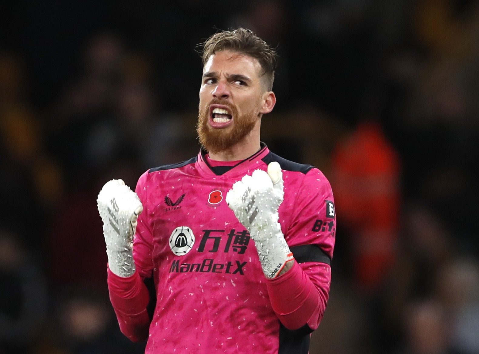 Wolverhampton dau Everton anh 2