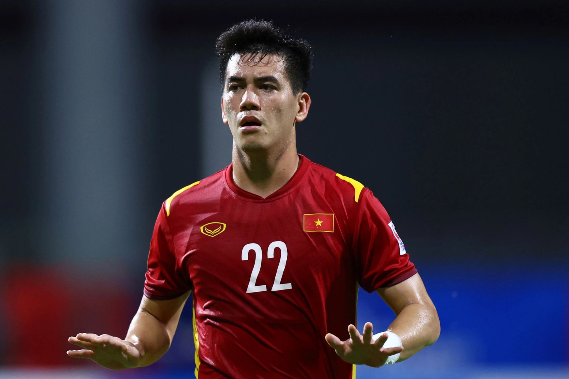 Ngan da tut doc cua tuyen Viet Nam hinh anh