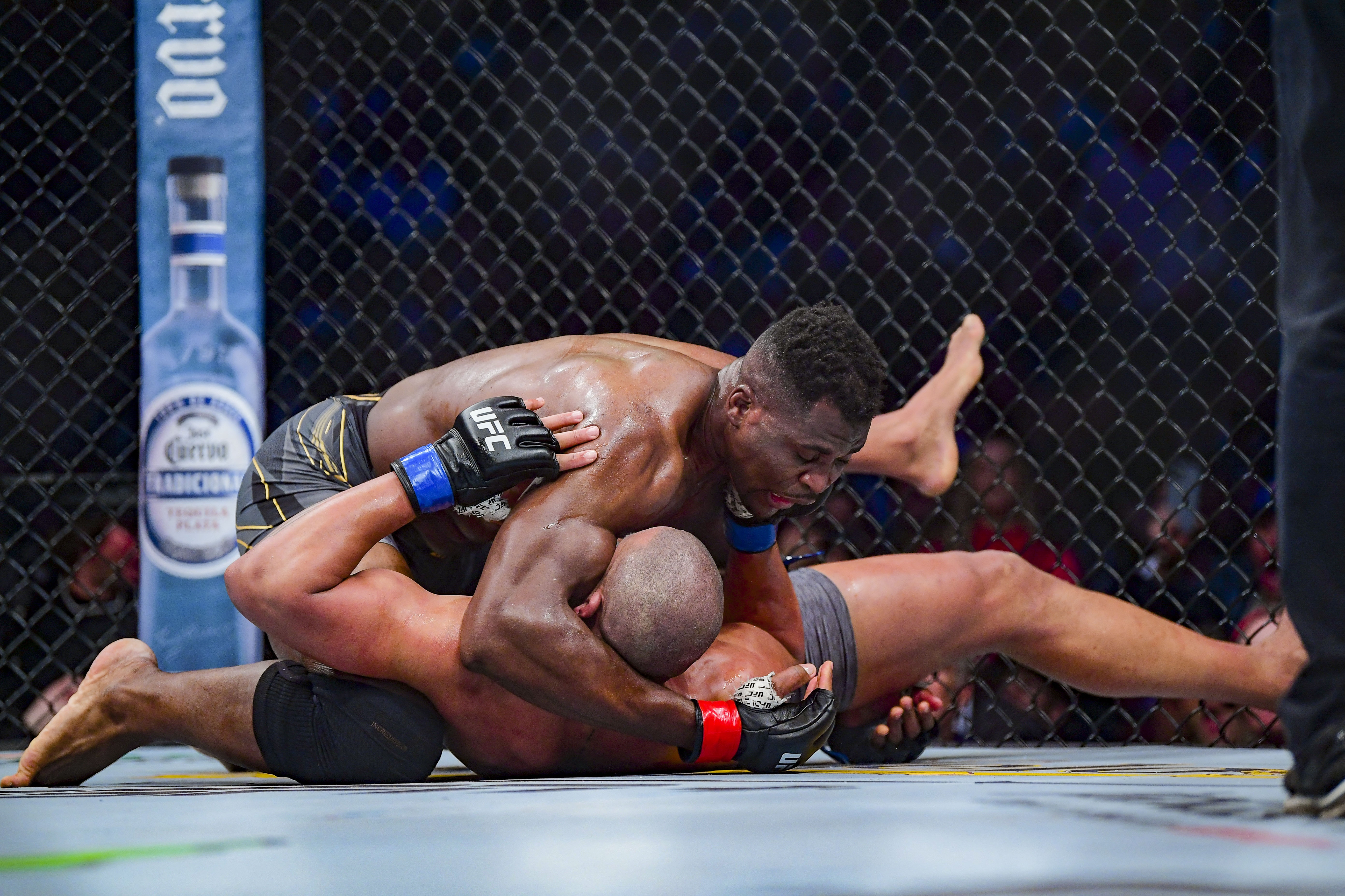 Chu tich UFC tu choi trao dai cho nha vo dich anh 7