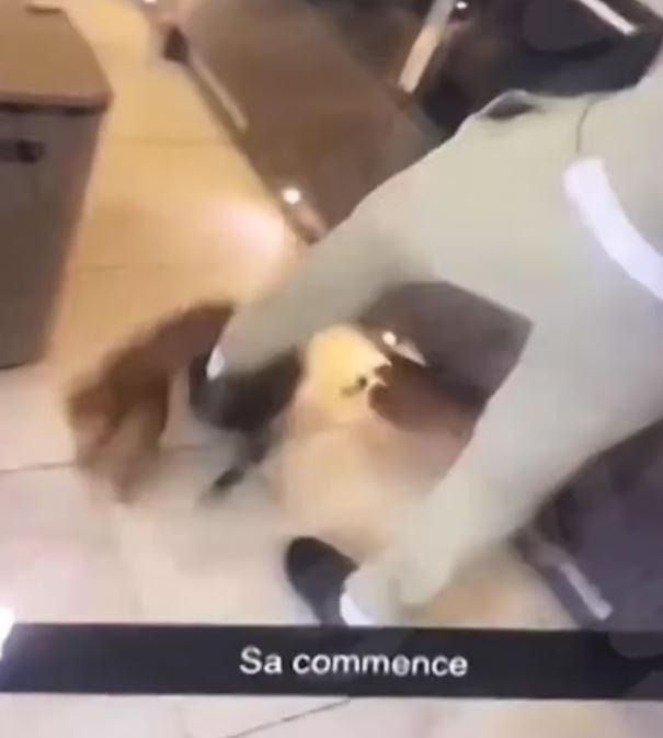 Zouma co the ngoi tu anh 1