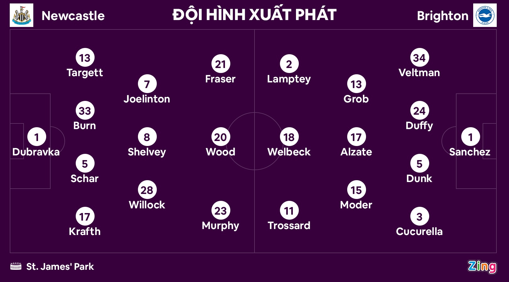 Newcastle dau Brighton anh 8