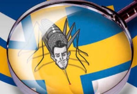 Bale dap tra khi bi goi la 'ky sinh trung' hinh anh