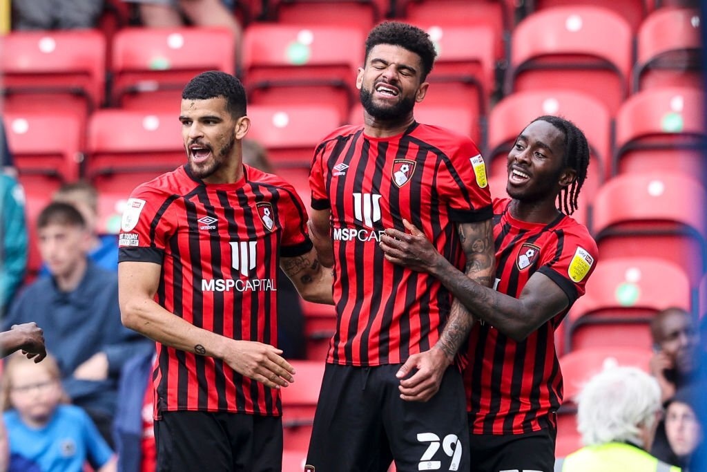 Bournemouth tro lai Premier League anh 7