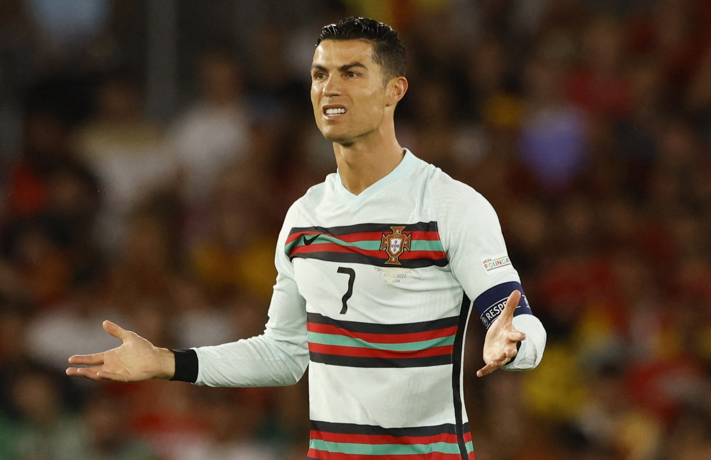 Bo Dao Nha cam hoa Tay Ban Nha hinh anh