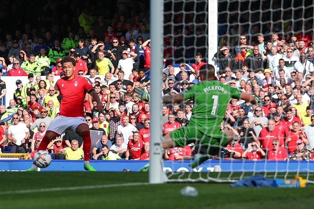 Pickford kien tao anh 1