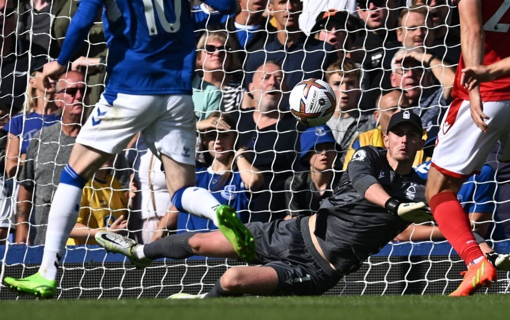 Pickford kien tao anh 4