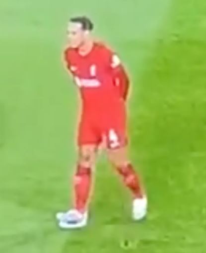 Van Dijk tieu xao anh 1