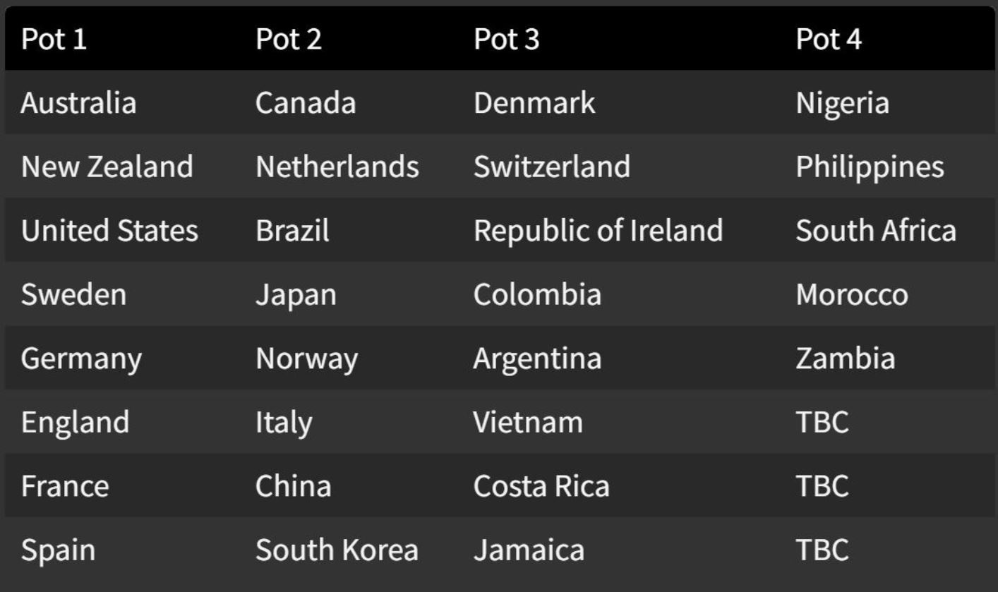 Viet Nam du World Cup anh 13