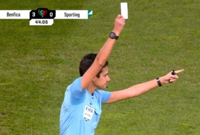 Trong tai rut the trang gay to mo o cup Bo Dao Nha hinh anh