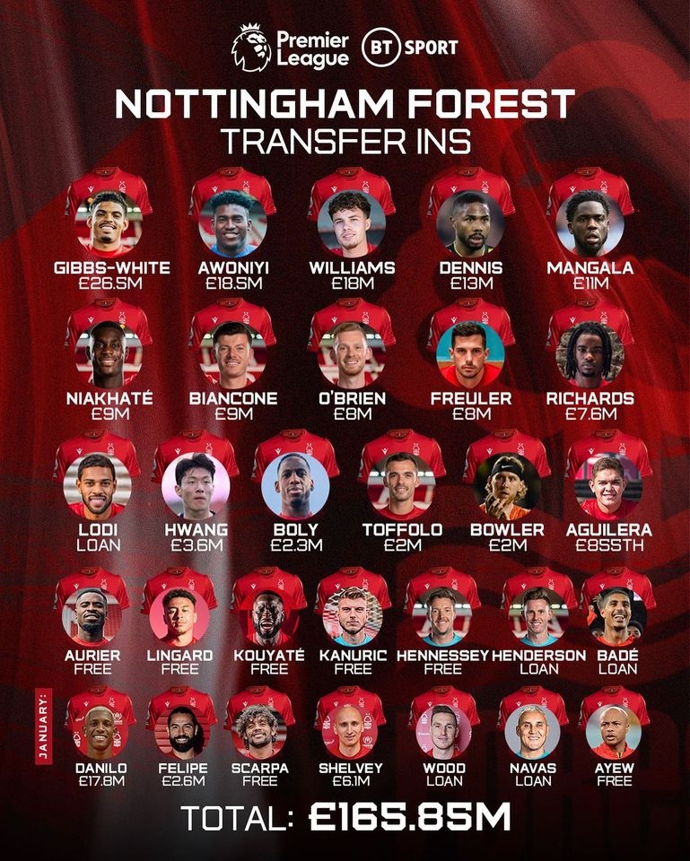 Nottingham chieu mo Ayew anh 1