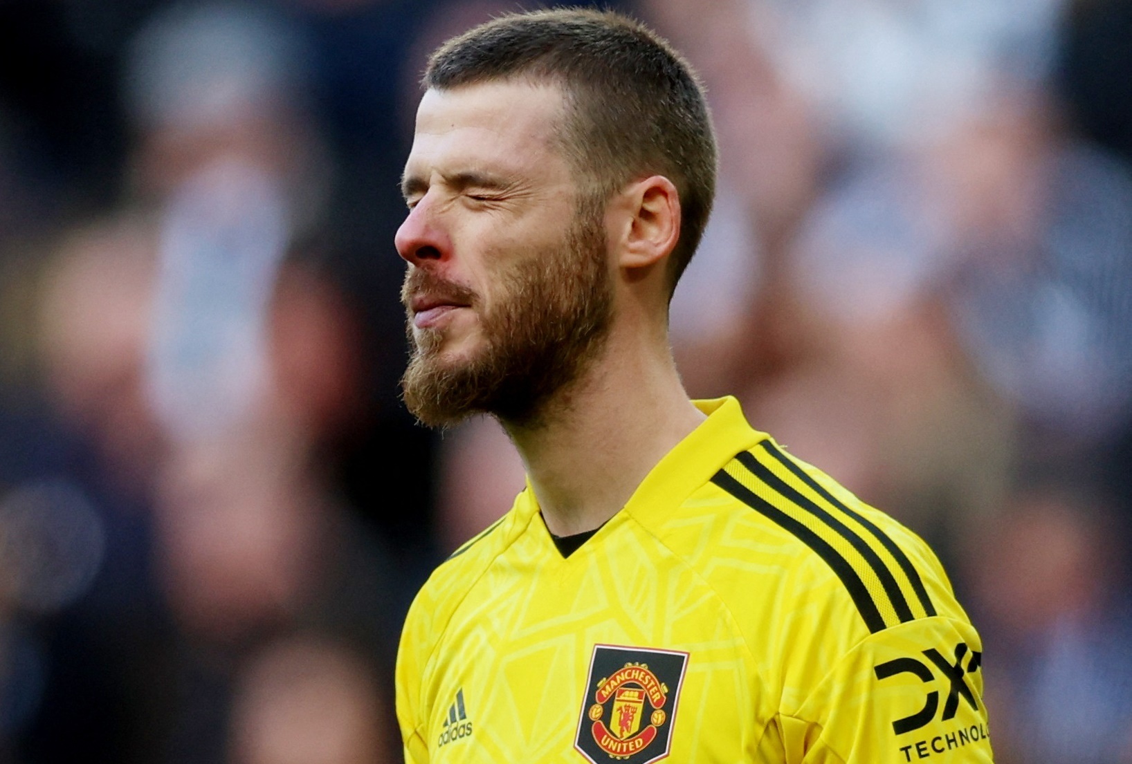 De Gea bi chi trich trong chien thang cua MU hinh anh