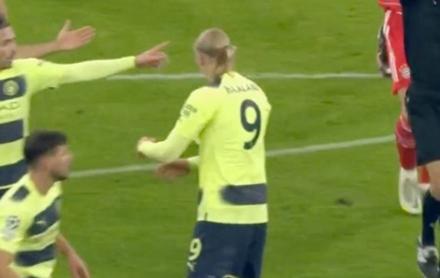 Erling Haaland anh 1