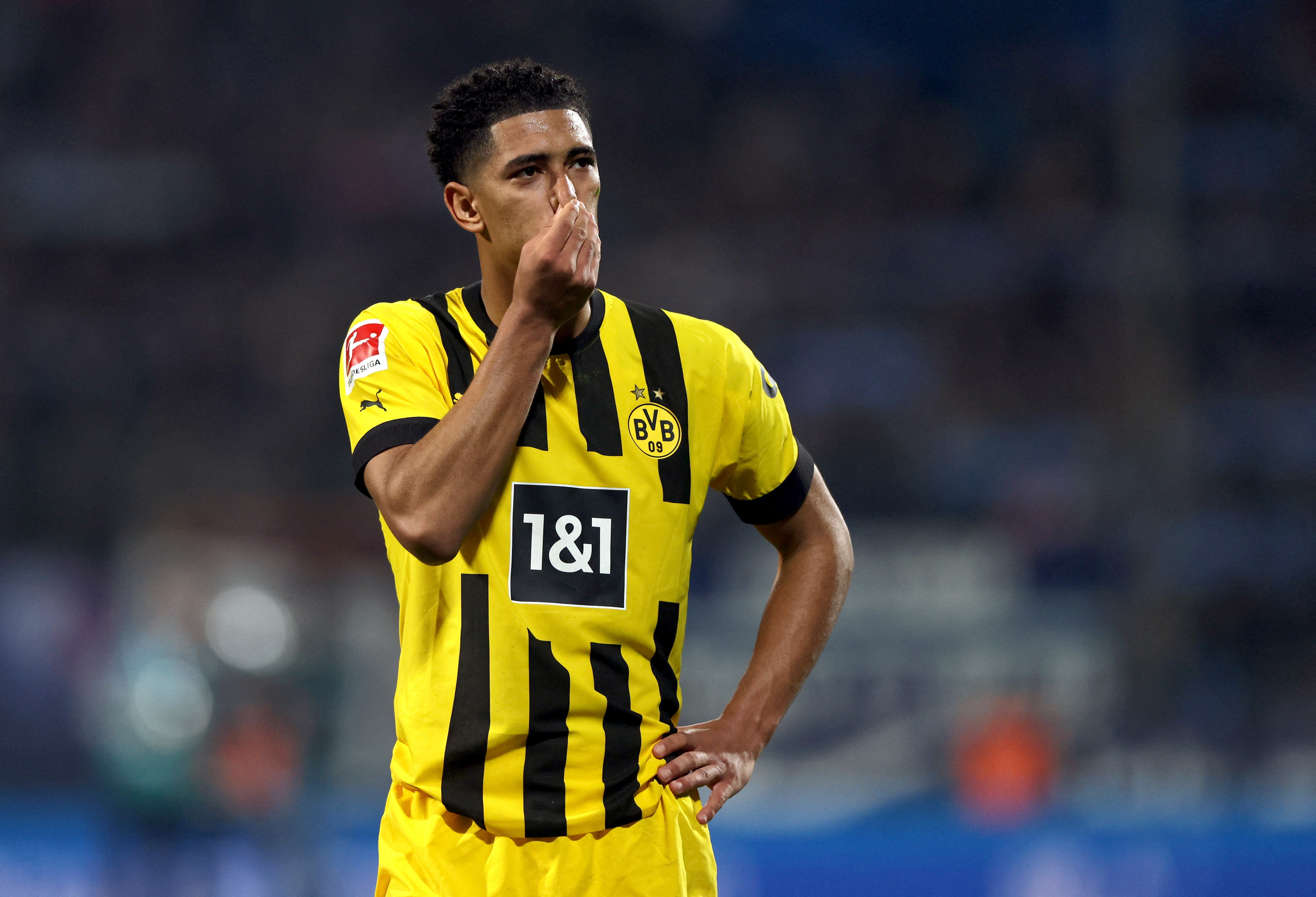 Dortmund dau Bochum anh 6