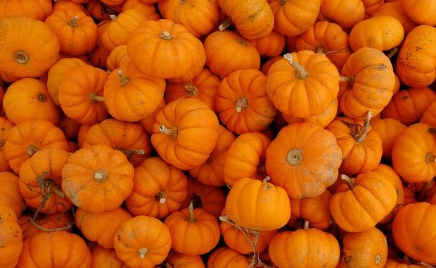 Bí ngô: Giàu canxi, sắt và đồng, giúp thúc đẩy khả năng miễn dịch. Ảnh: Independent