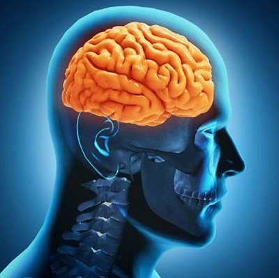 Dieu quan trong de bo nao luon khoe hinh anh