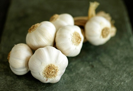 6 loai mui giup duoi muoi hieu qua hinh anh